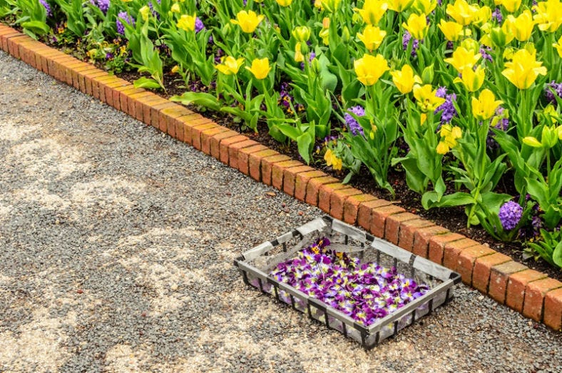 Traditional bricks for edging