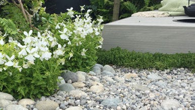 Decorative Aggregates