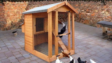 Hen Houses