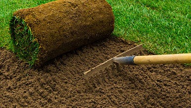 Lawns & Planting