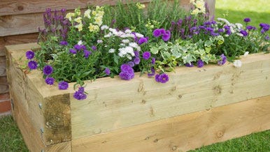 Raised Beds