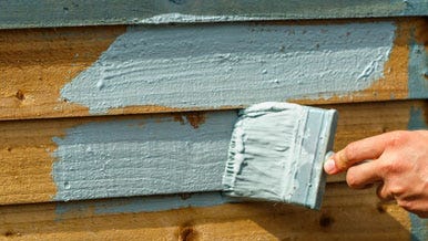 Shed & Fence Paint
