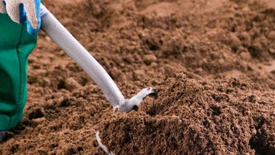 Topsoil