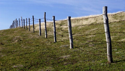 Stock Fencing